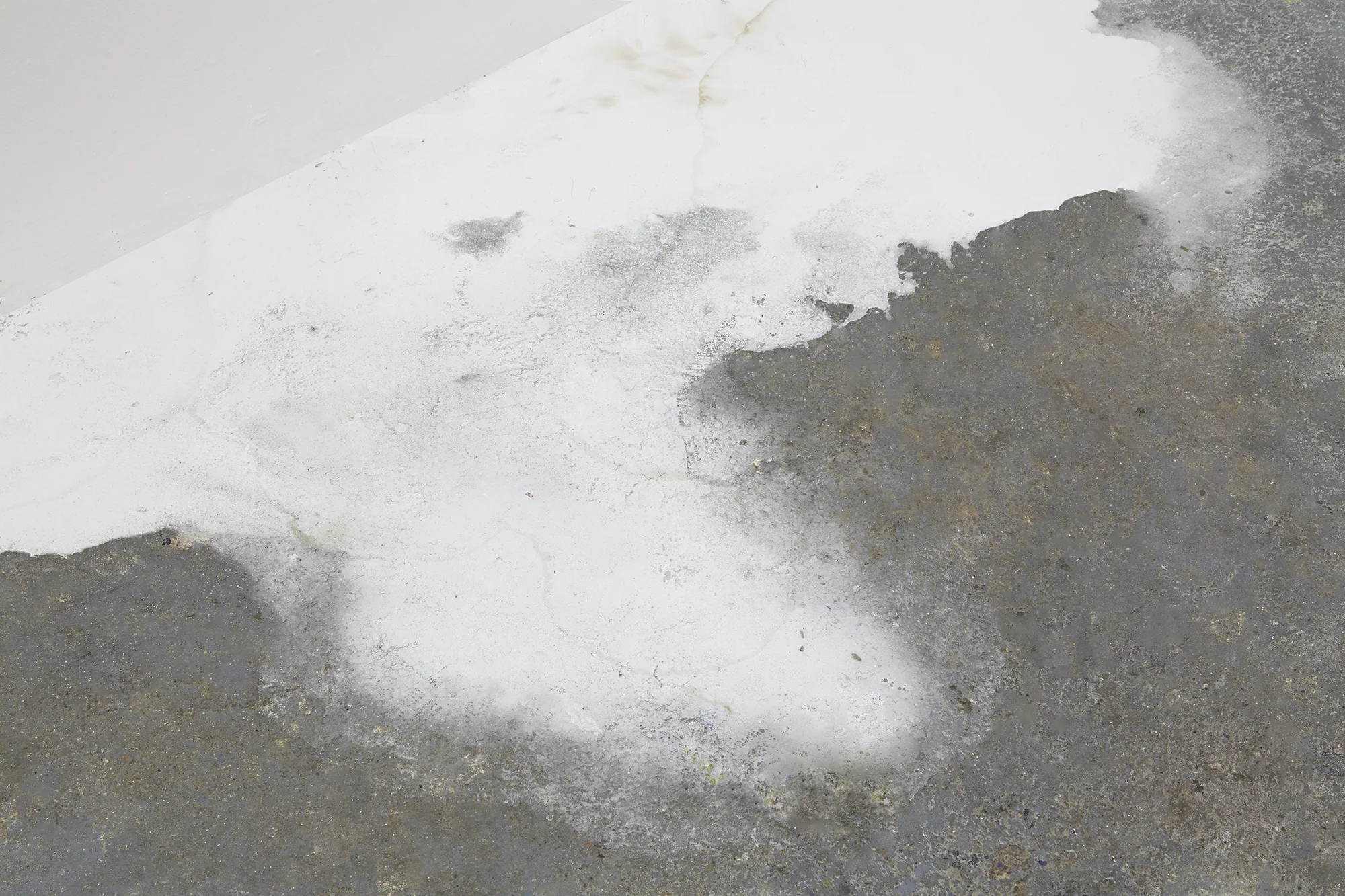 Open Container , 2017 Animal bone ash