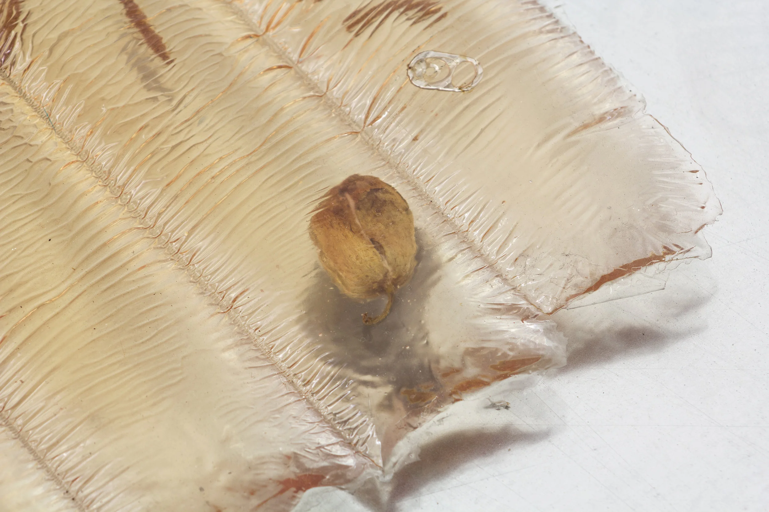Sleepwalker , 2018 (detail) Polyester resin, found objects