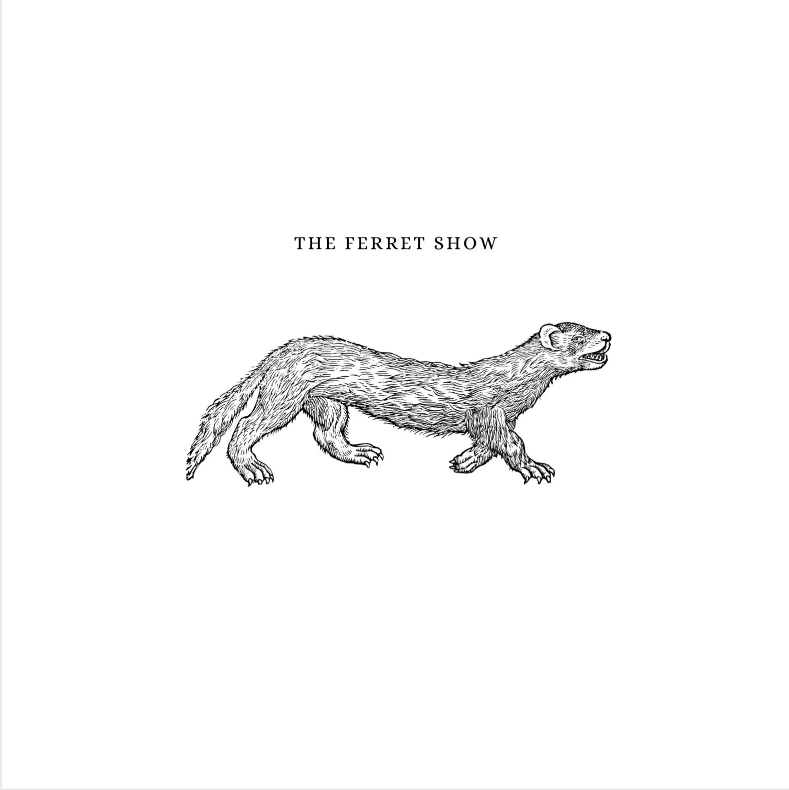 The Ferret Show 