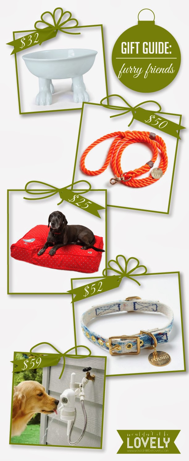 gift-guide-dog.jpg