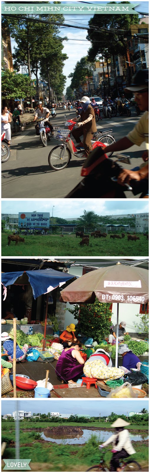 vietnam.jpg