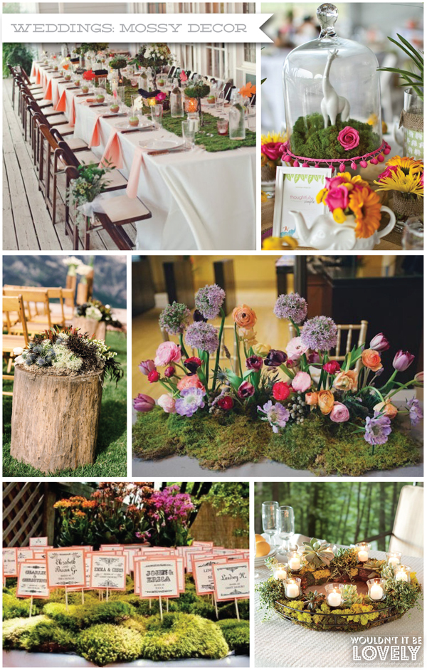 mossy+decor.jpg