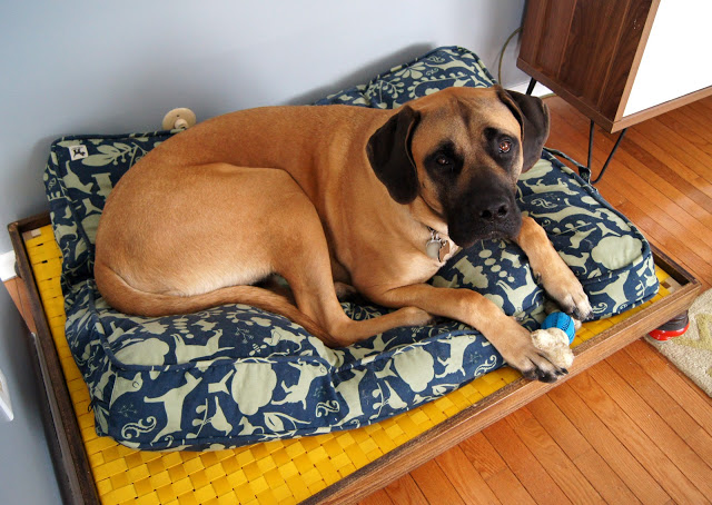 Truman+Bed.jpg