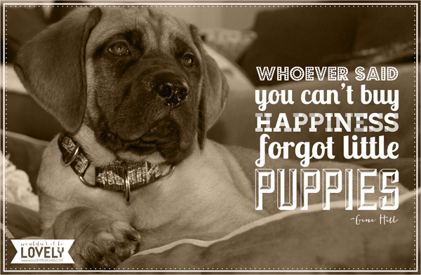 PUPPIES.jpg