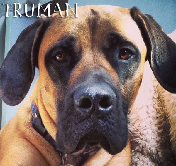 Truman2+copy.jpg