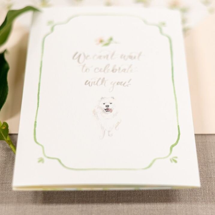 Nothing better than a fluffy to celebrate with! ⁠
Pet portrait watercolor wedding invitations by Wouldn't it be Lovely⁠
⁠
⁠
#customweddinginvitation #weddingvenue #customwatercolor #weddingwatercolor #weddinginvitations #weddingideas #weddinginvites 