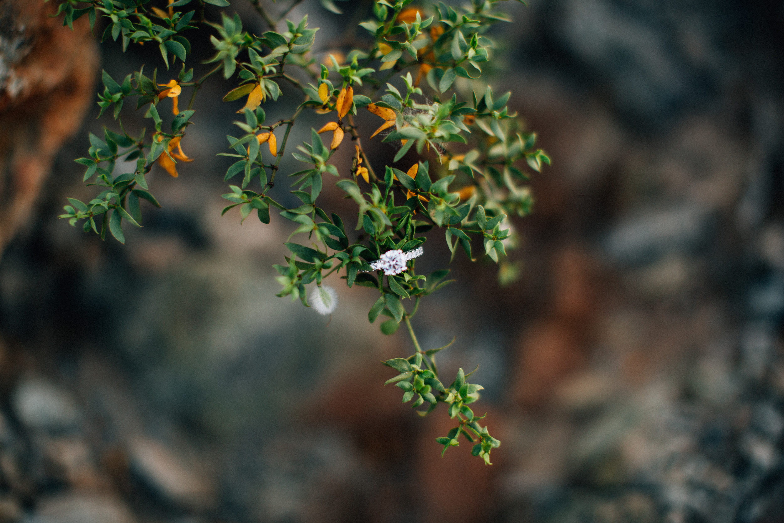 8X8A7638.jpg