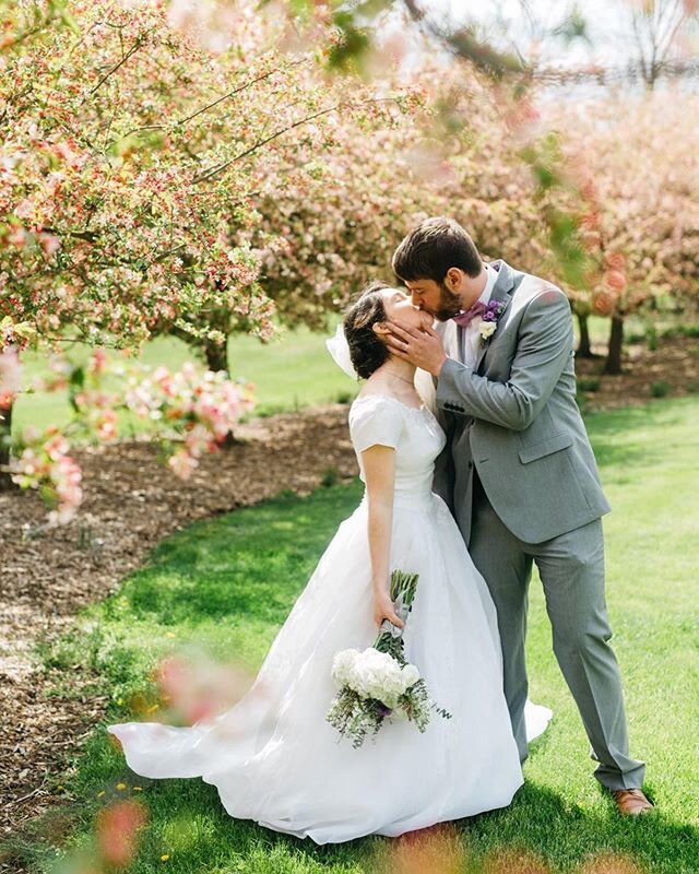 Spring flowers in full bloom. 🌸 | So happy Katrina and Brian chose to go forward with their wedding day. It was intimate and full of joy.