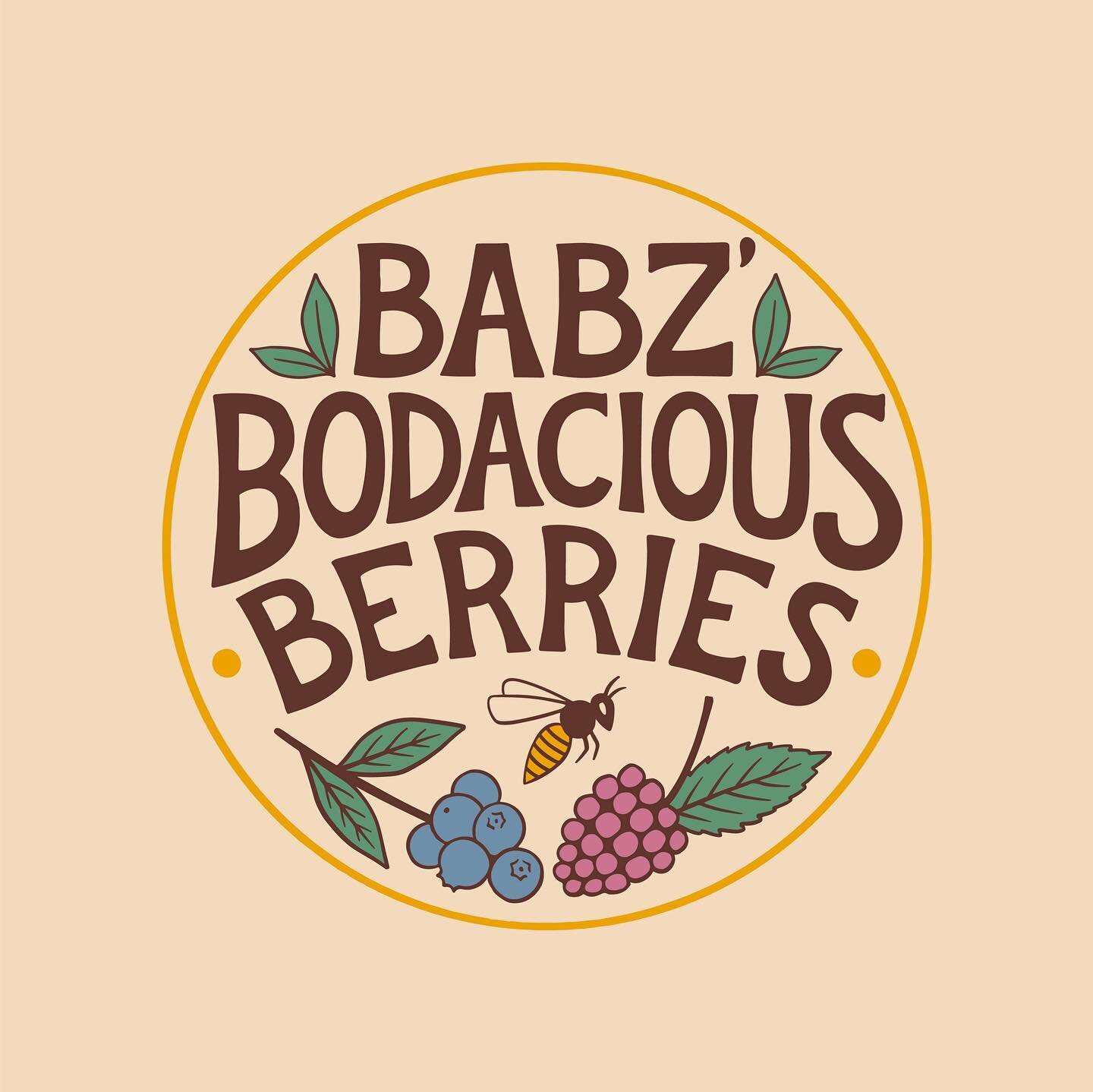 When we decided to start farming in 2006, our intention was to be berry farmers and call our product Babz&rsquo; Bodacious Berries.  Listening to experienced berry growers, we learned the wisdom of checking our soil for certain nematodes before plant