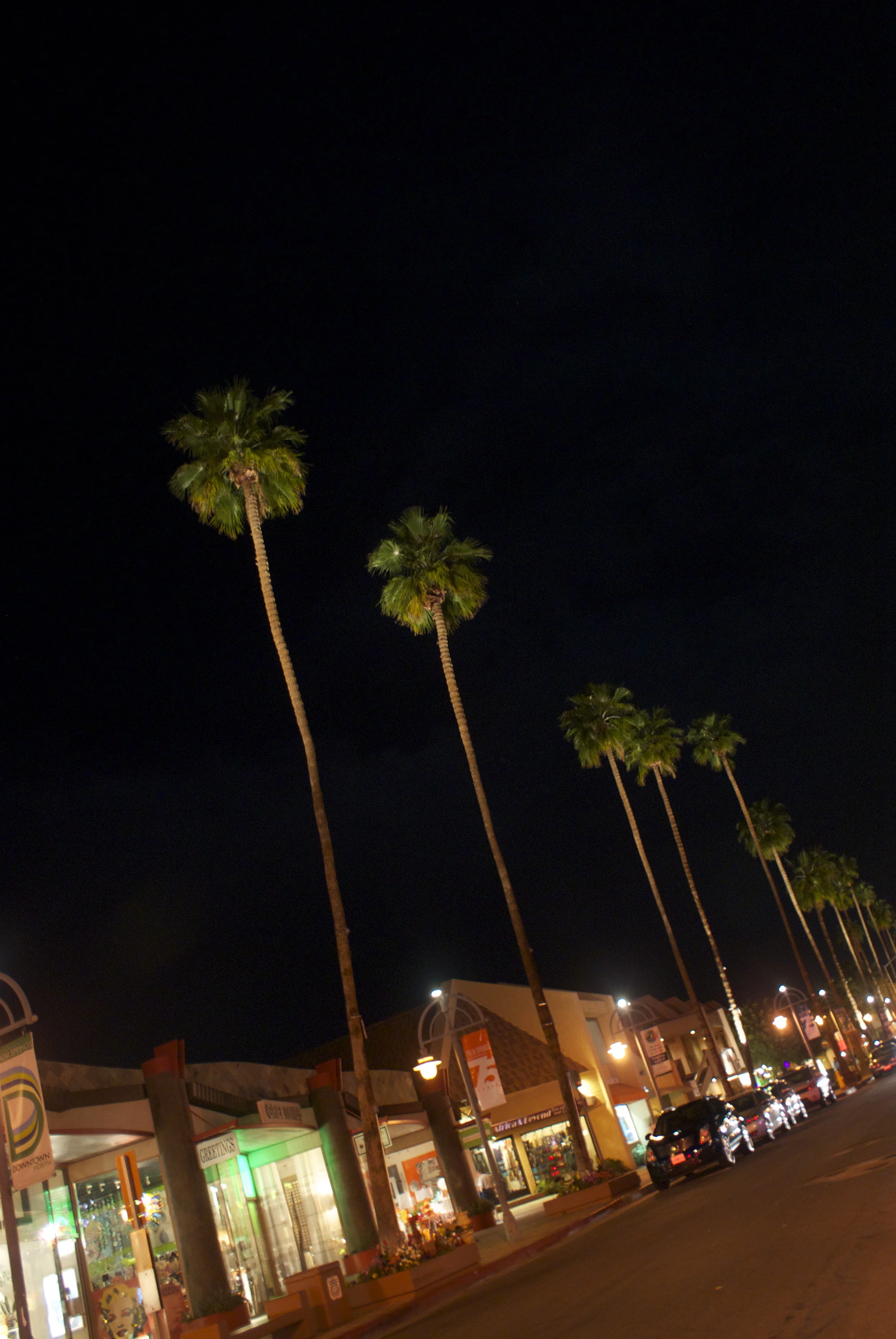 DSC02665_2.jpg