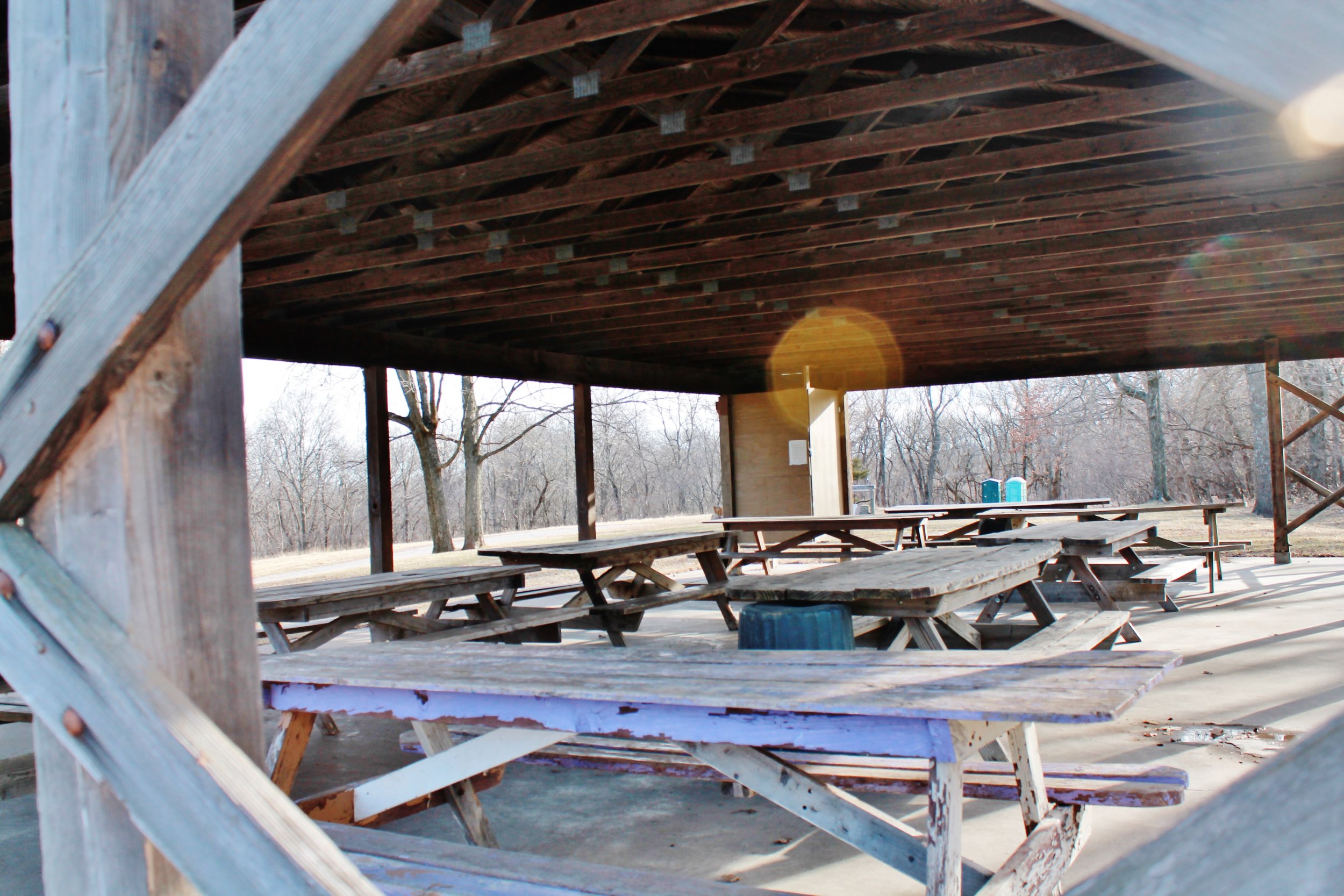 Picnic Shelter: Lone Pine