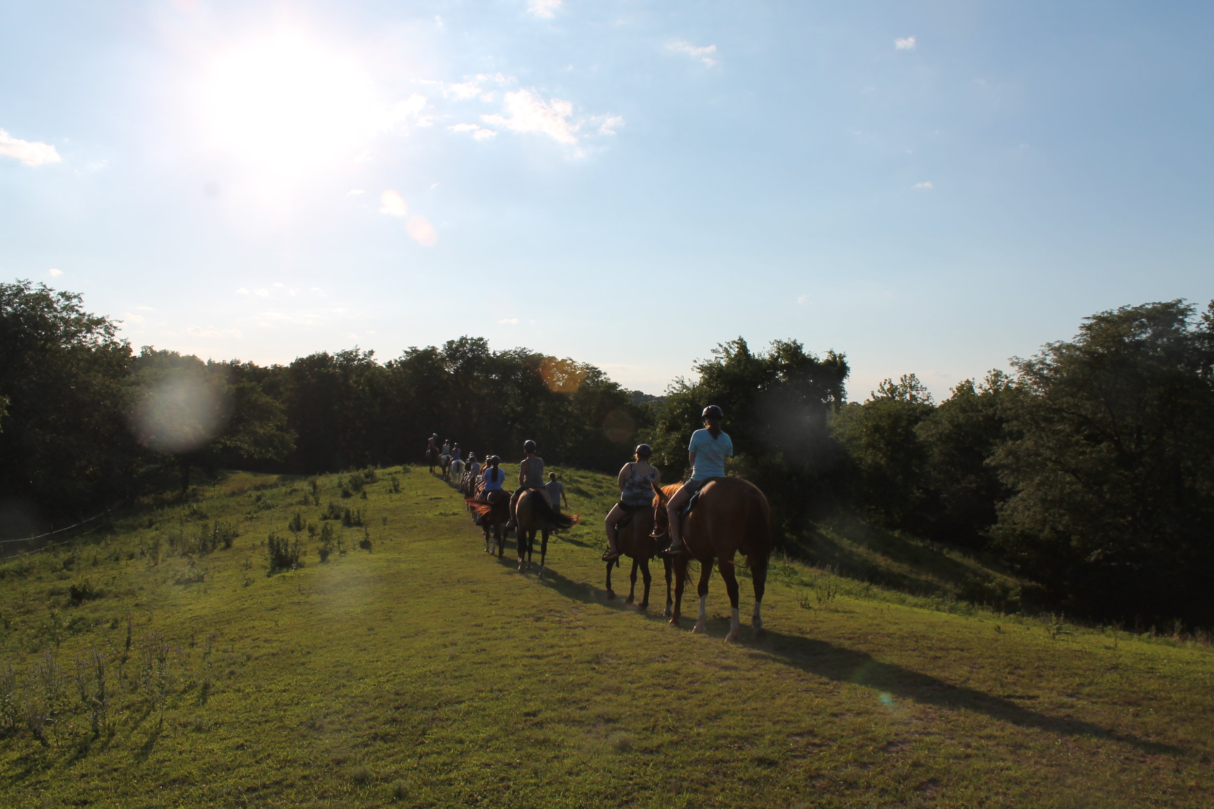 Activities: Horse Ride