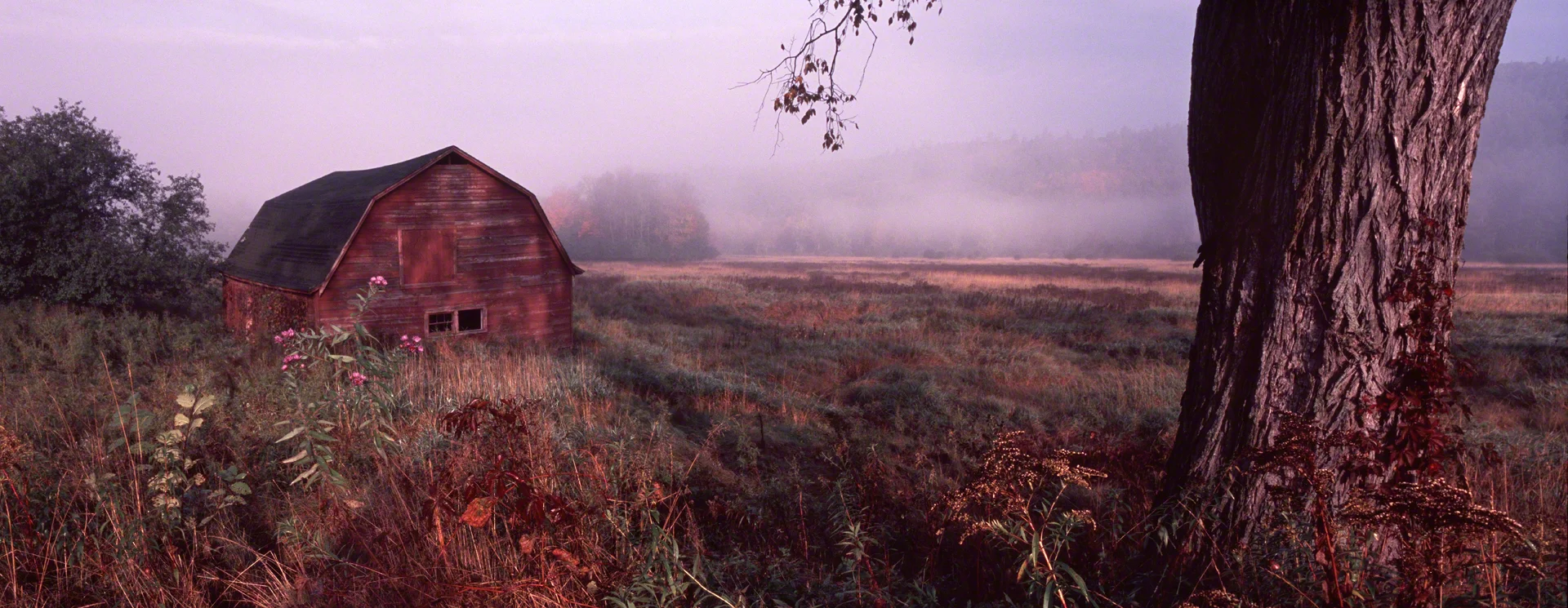 Early Morning in October