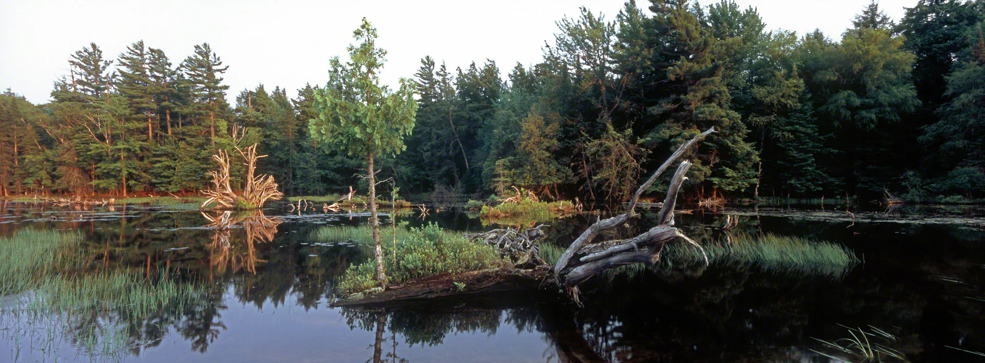 River Totems