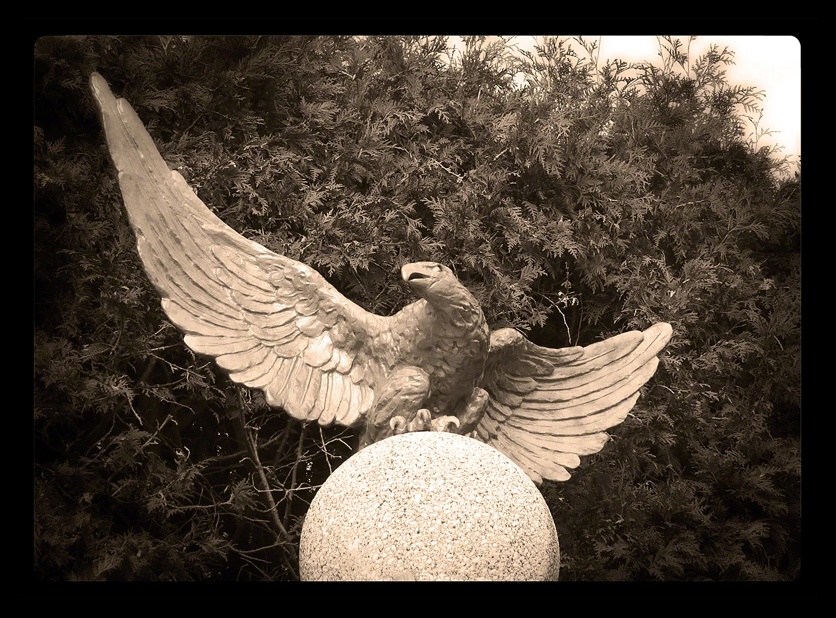 Eagle