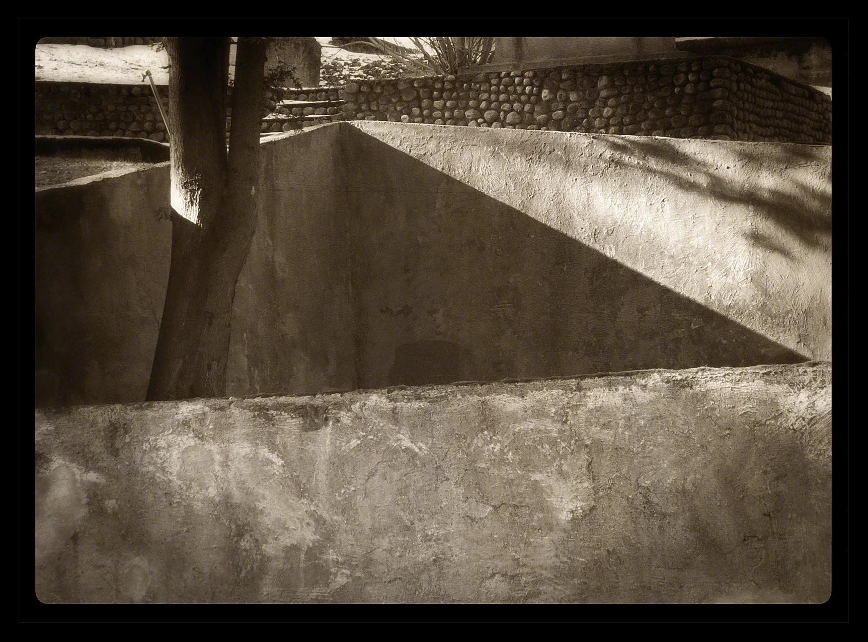 Pine Ridge Shadows