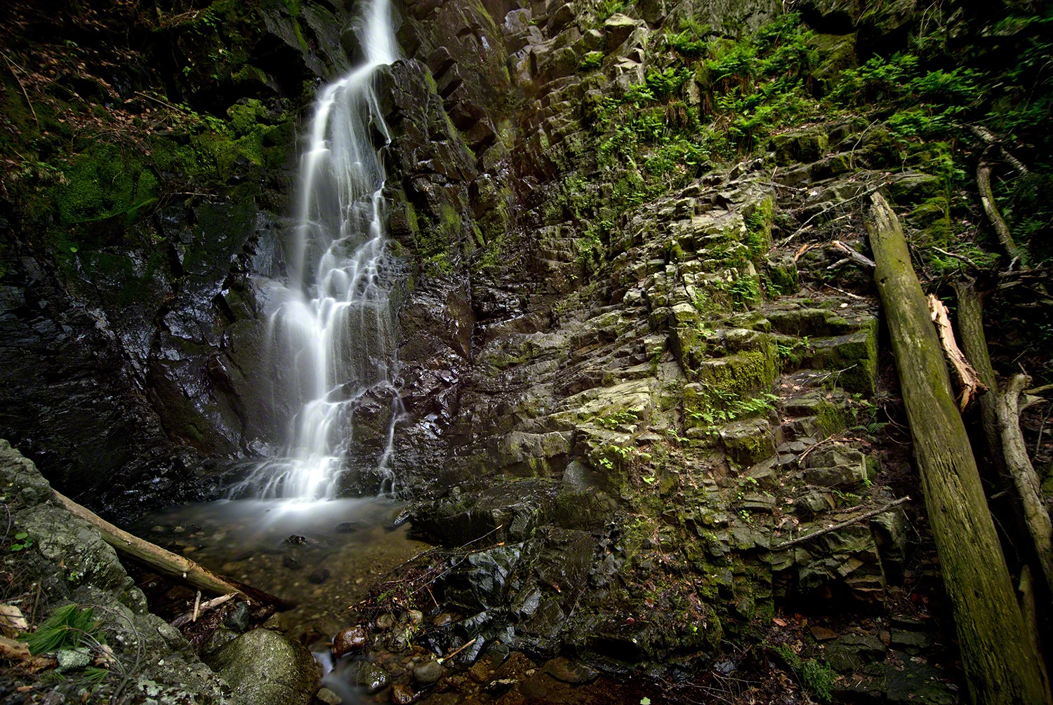 Mossy Cascade