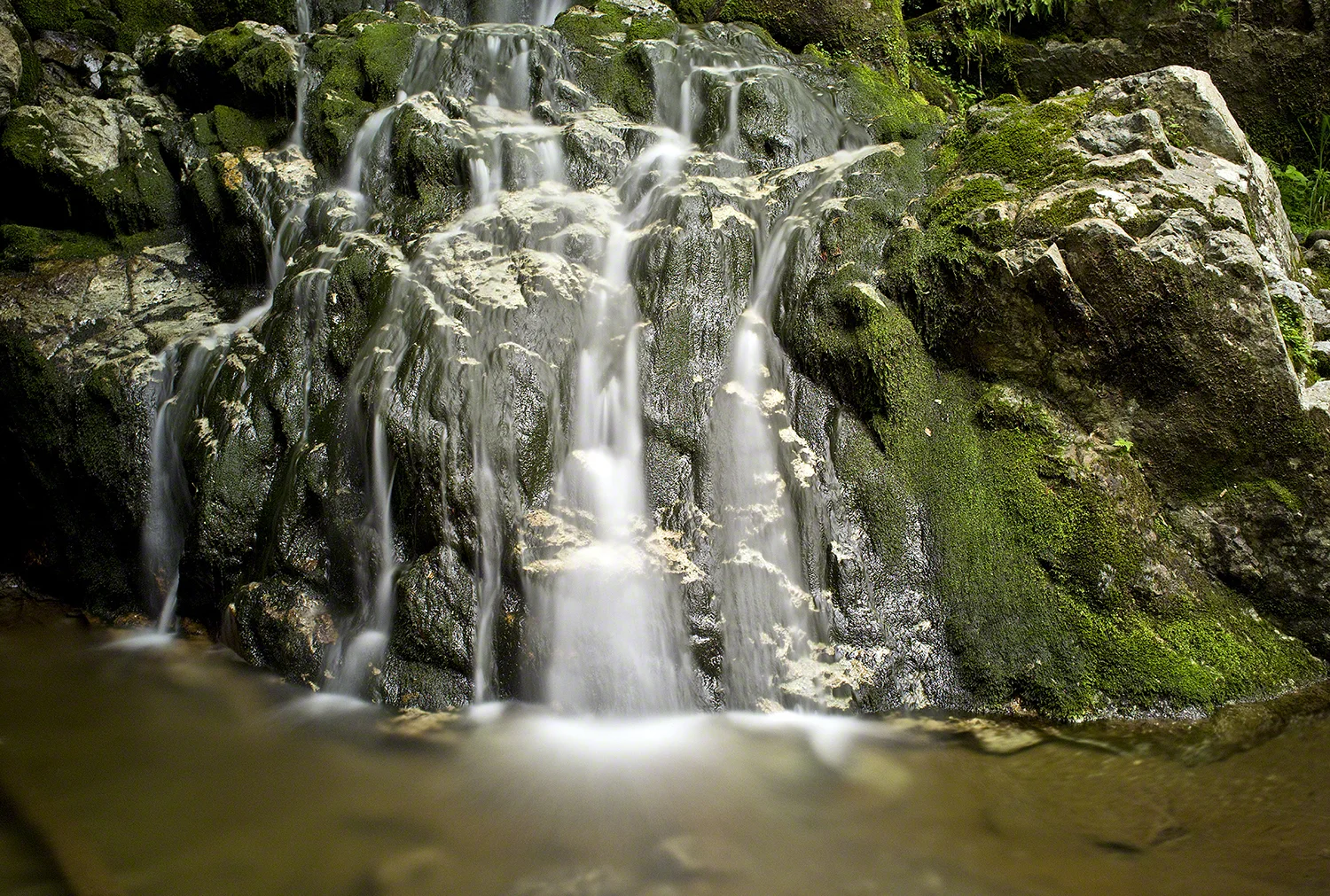 Wedgebrook Falls