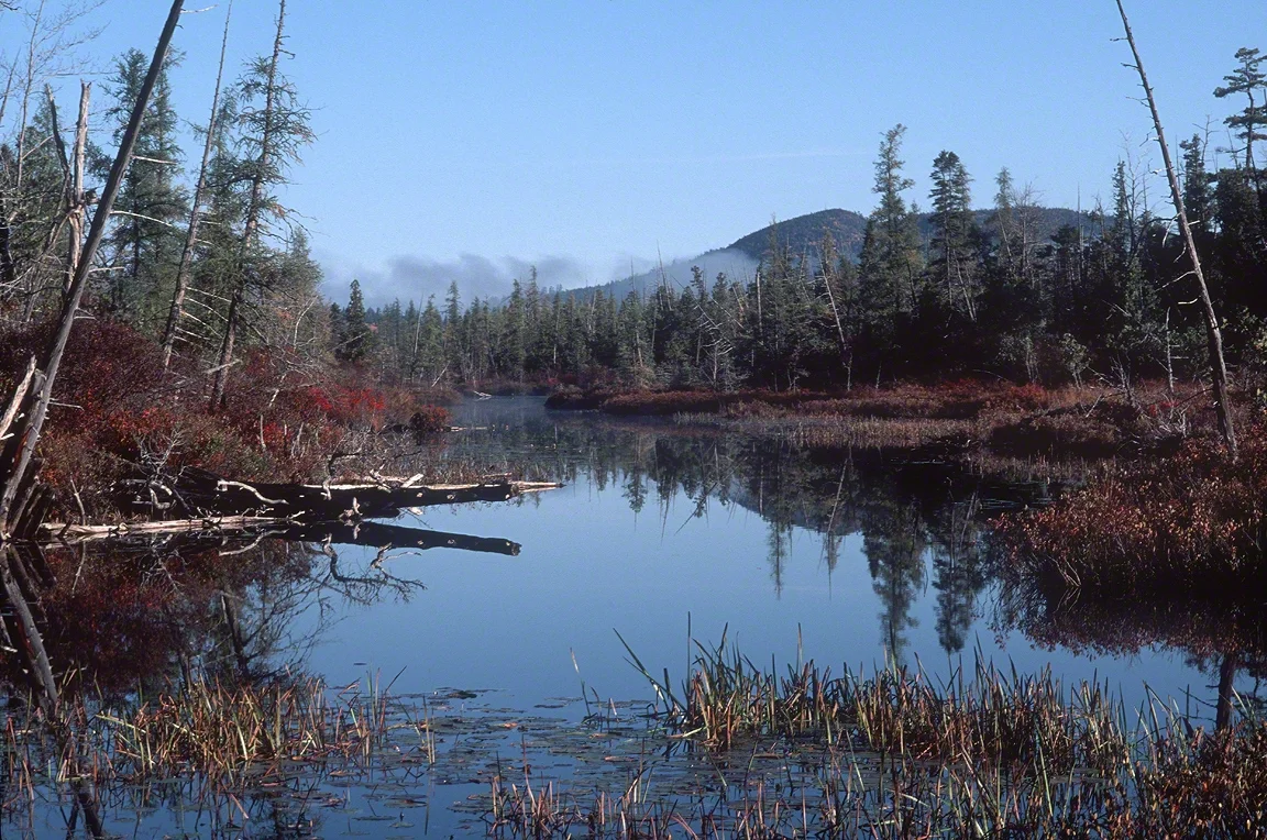 Canoe Water