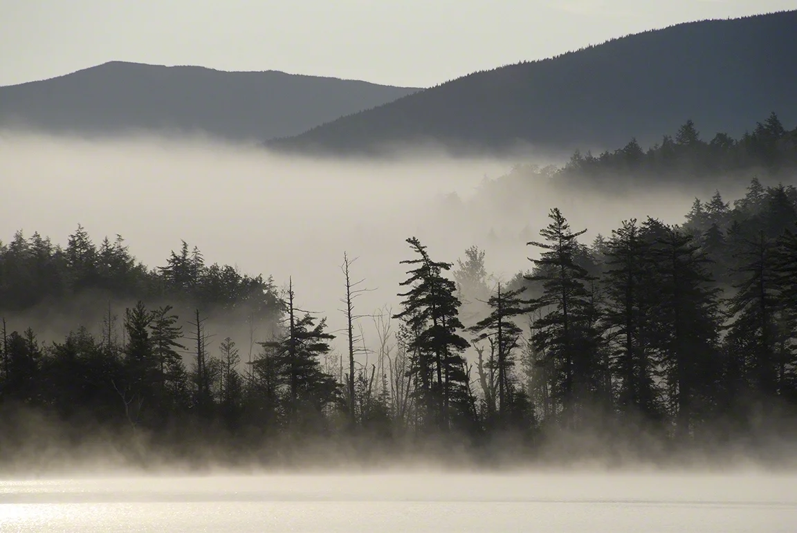 Morning Mist