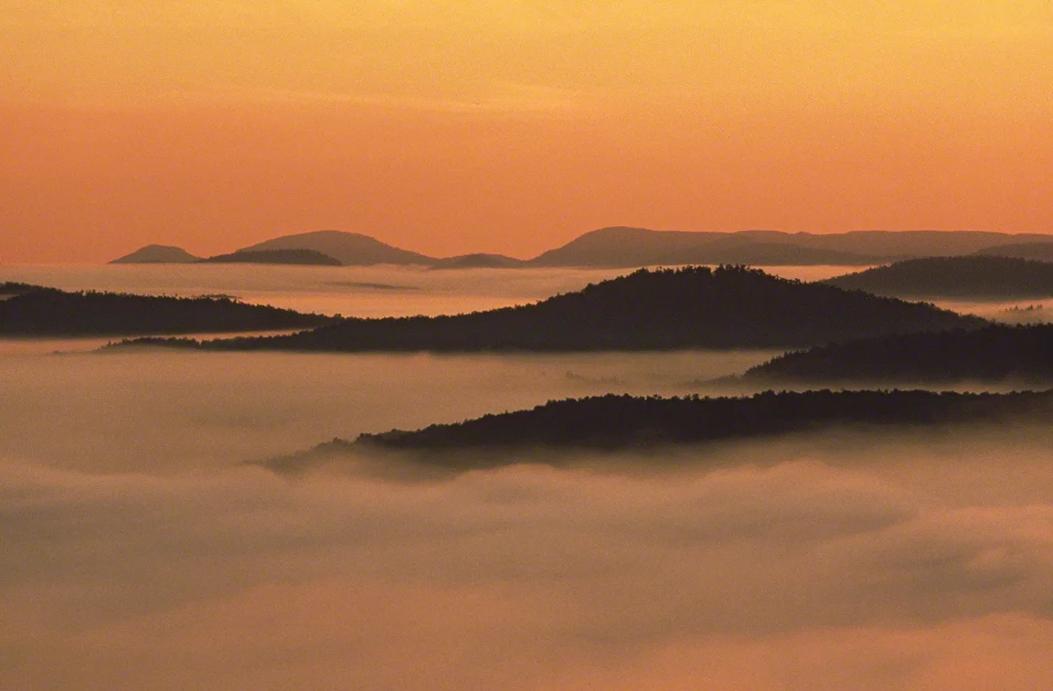 Saranac River Valley