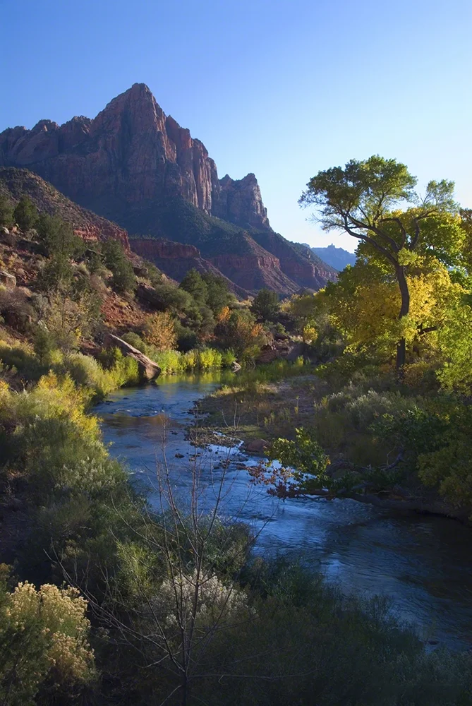 The Watchman and the Virgin - Zion
