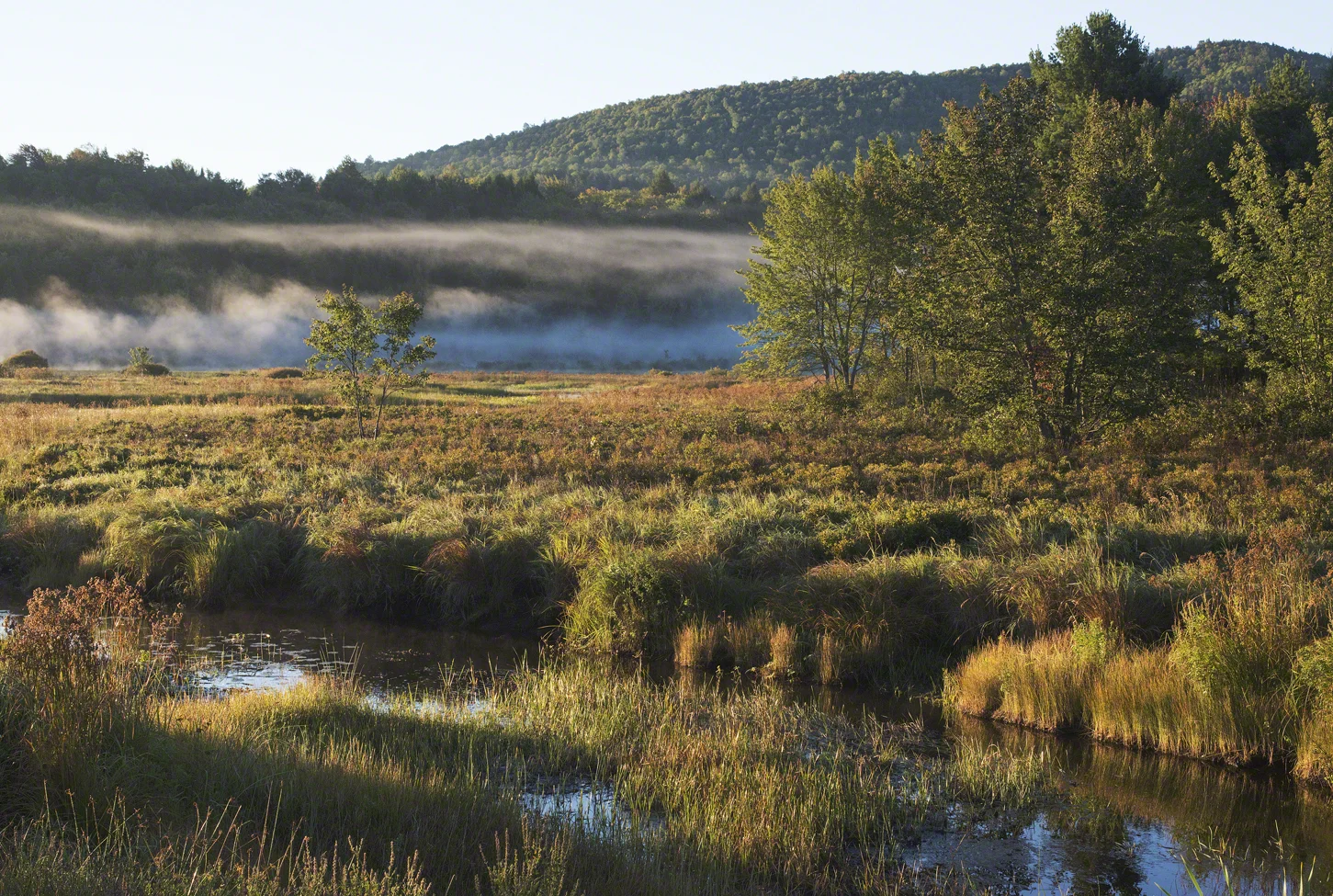 Early Fall
