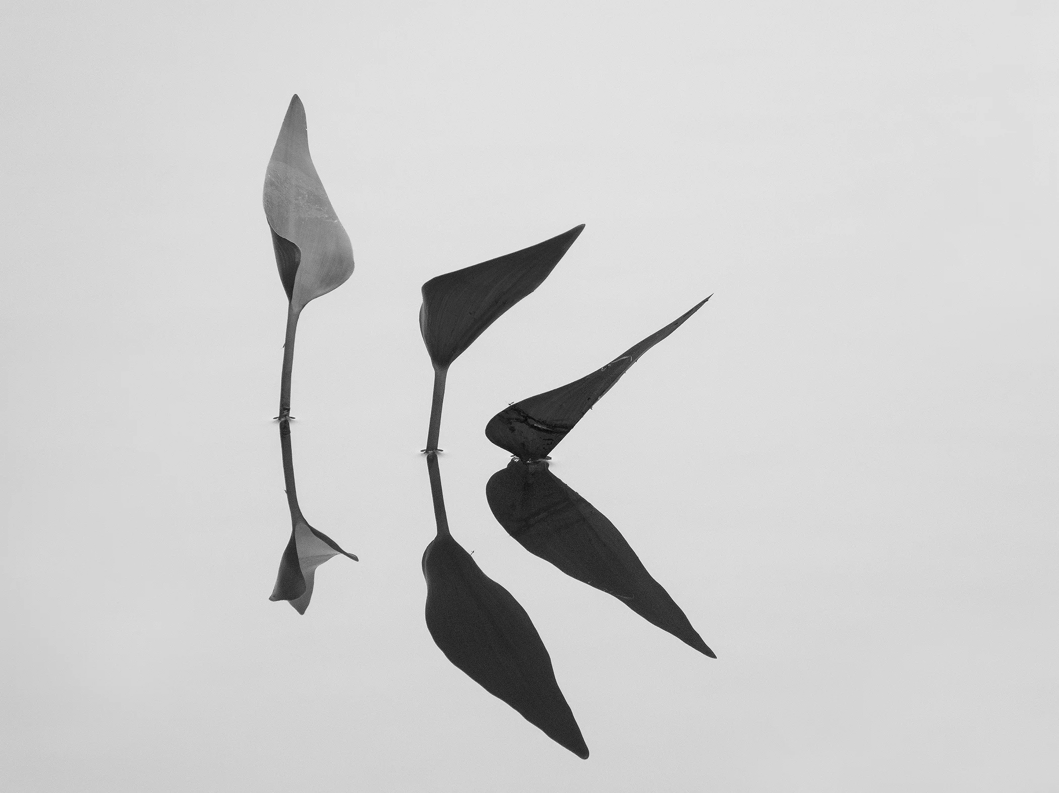 Three