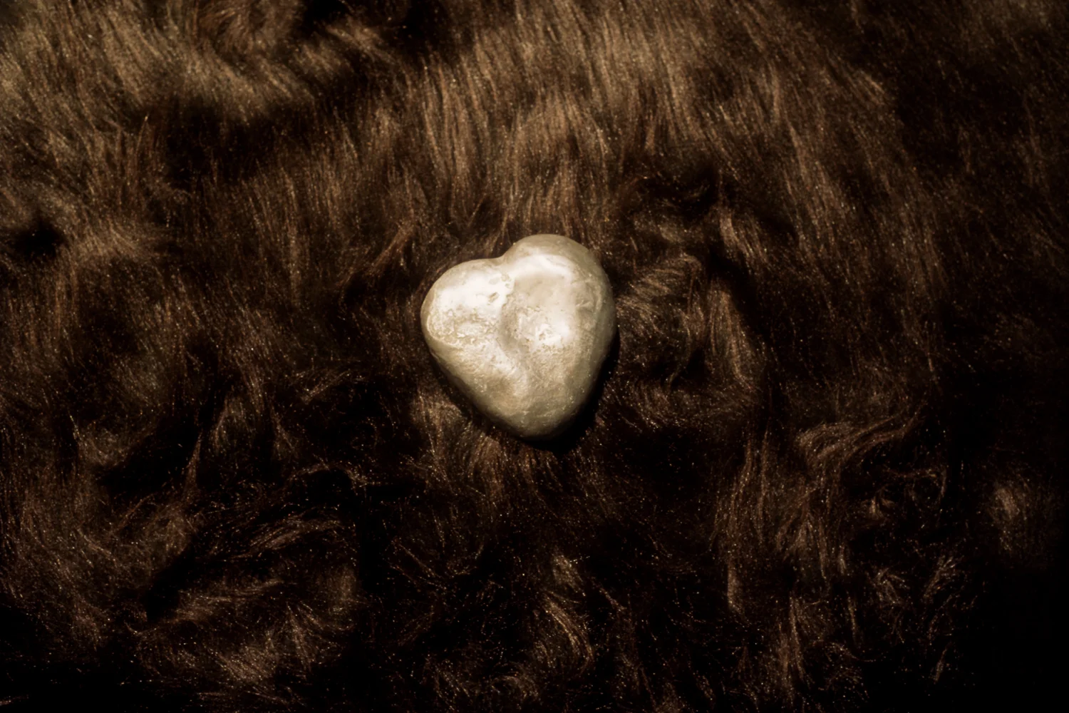 compass-heart-greyhound-series-huebner-1.jpg