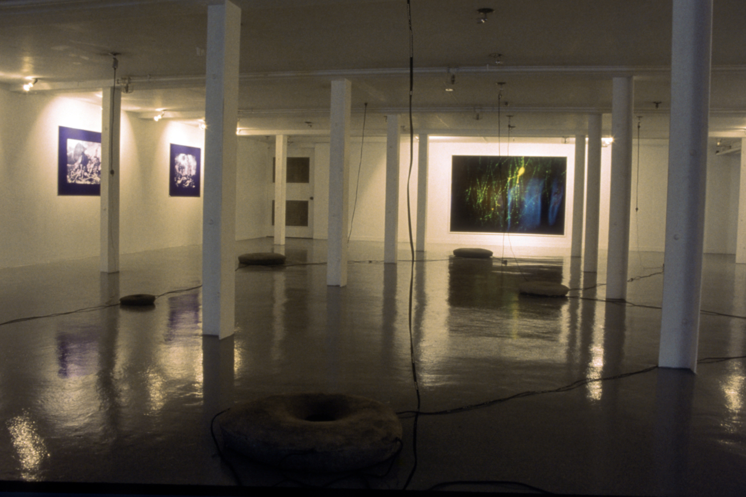Installation - UBC Fine Arts Gallery, Vancouver Canada 1989