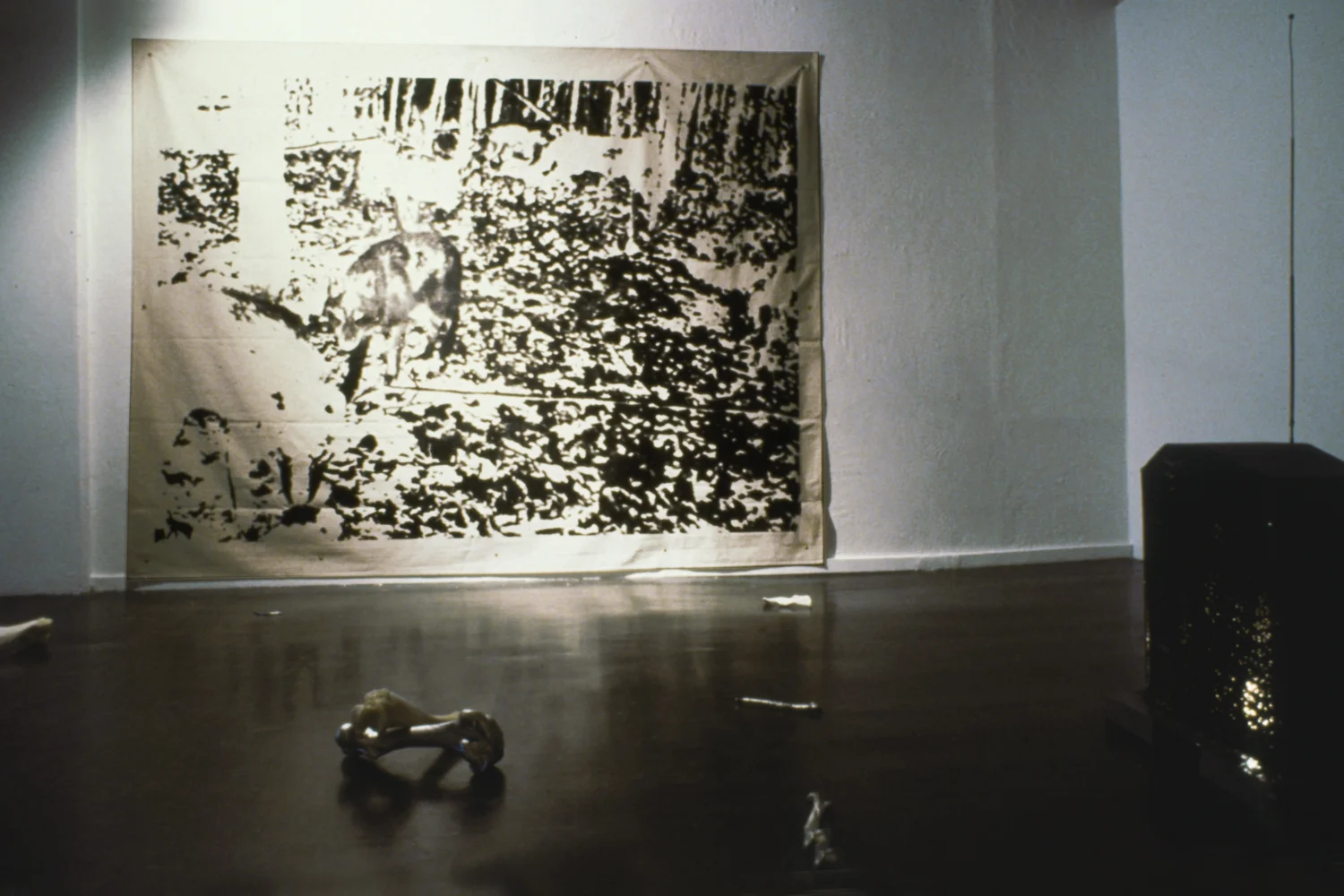 bones-wolves-vancouver-installation-huebner-4.jpg