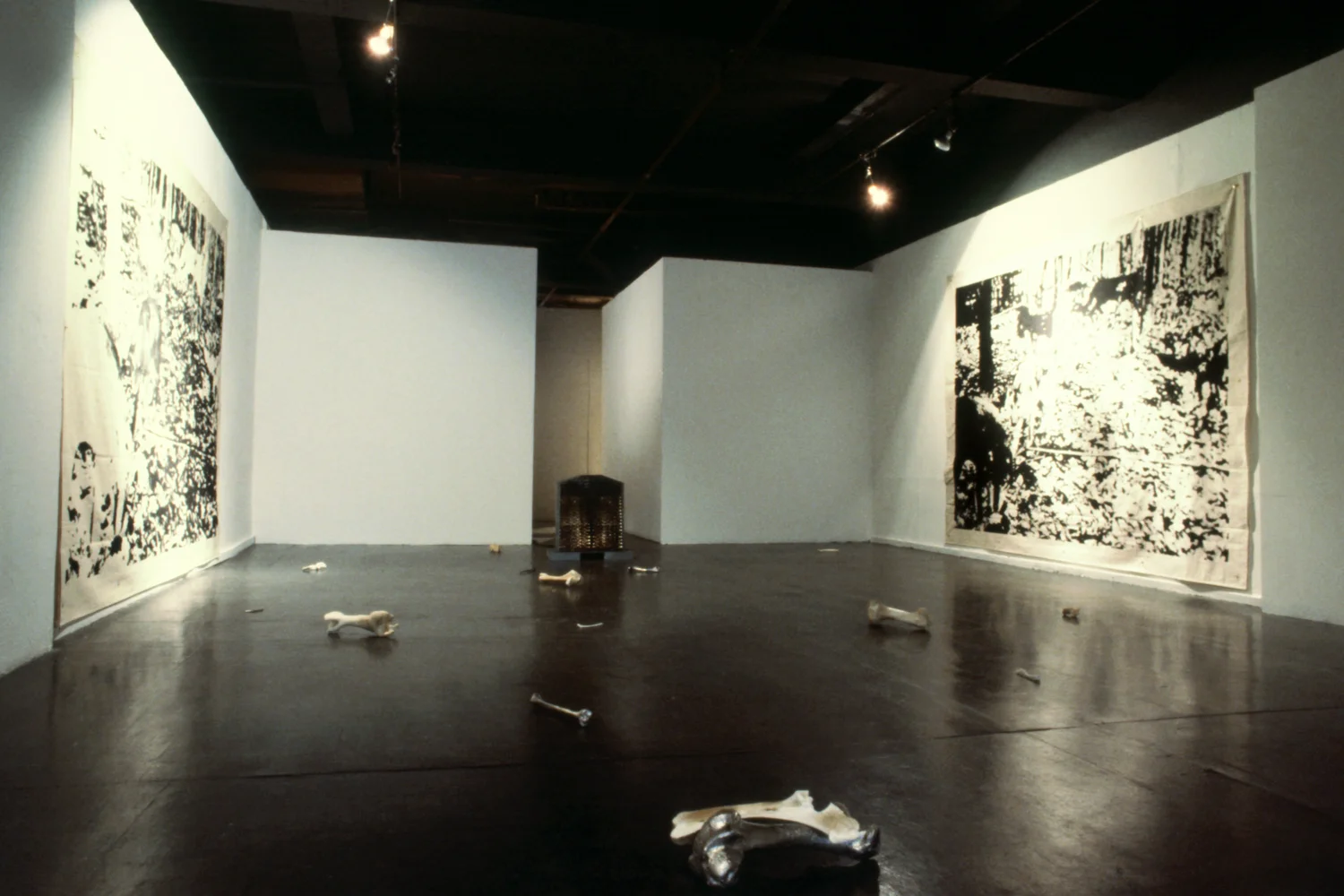 bones-wolves-vancouver-installation-huebner-8.jpg