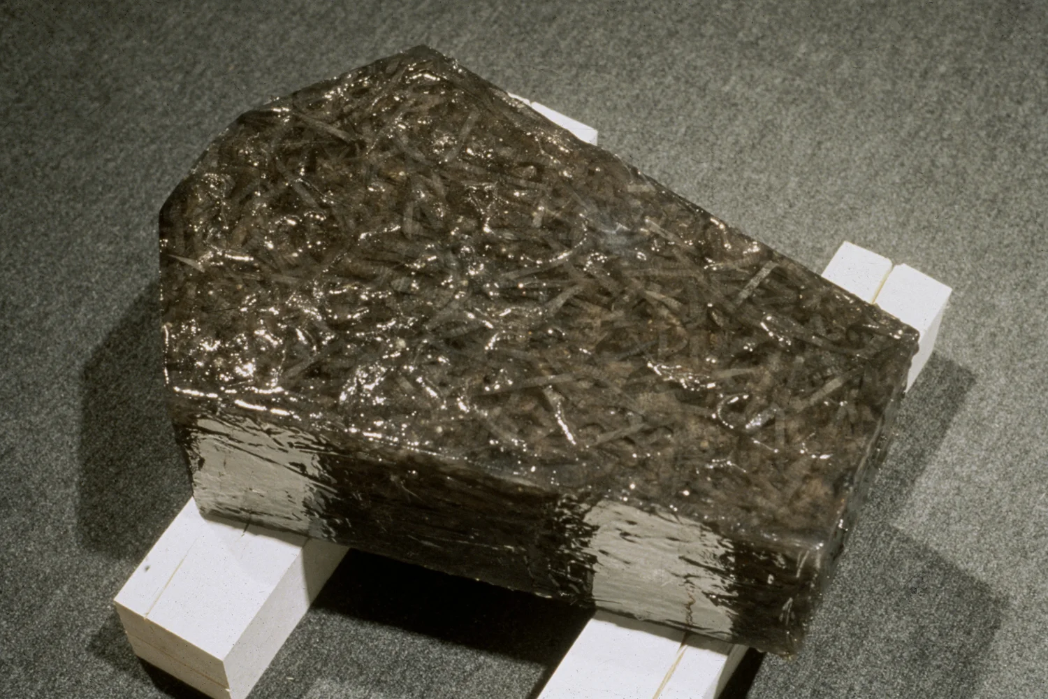 coffin-form -shredded-nytimes-huebner-1.jpg