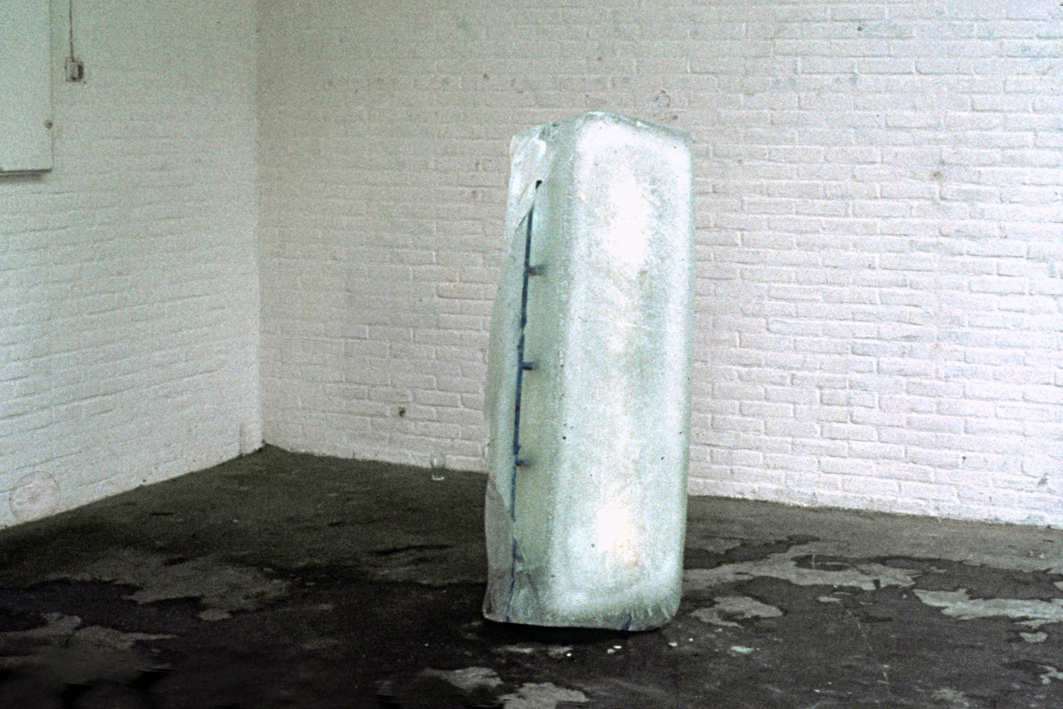 frozen-ladder-installation-huebner-6.jpg