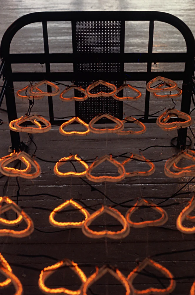 electrical-heart-hot-bed-huebner-7.jpg