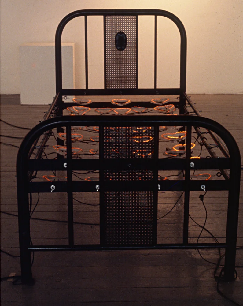 electrical-heart-hot-bed-huebner-8.jpg