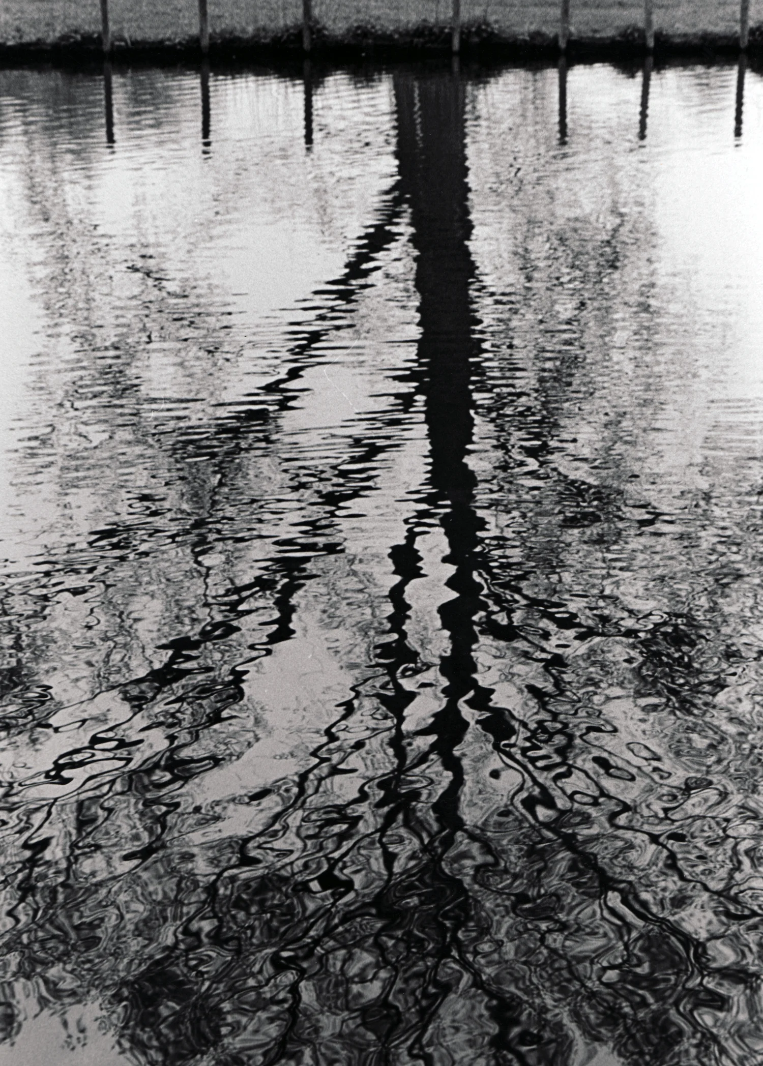 Image - Ron Huebner