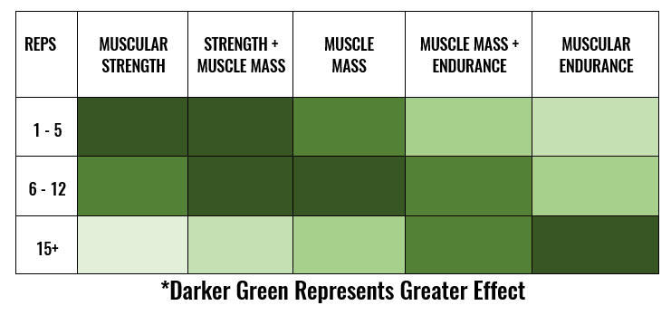 Power- the muscles ability to exert force as quickly as possible Strength- the muscle’s ability to exert force on an external object Hypertrophy- the development of lean muscle tissue Endurance- the ability of the muscle to repeatedly exert submaximal force