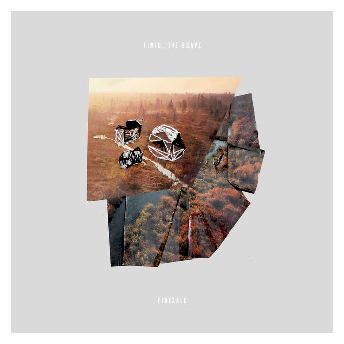 Timid, the Brave - Firesale