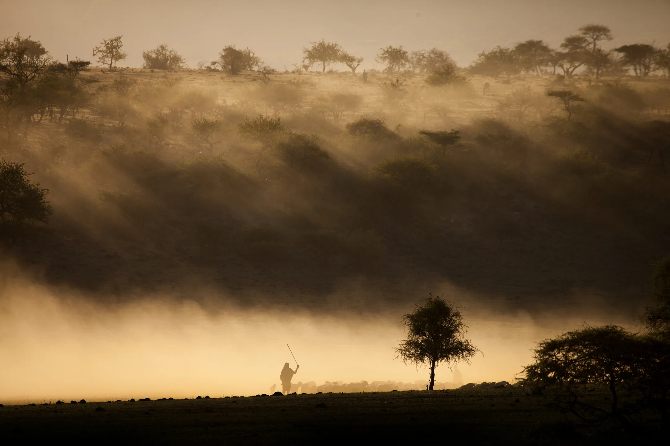 ngorongoro2011_2041.JPG