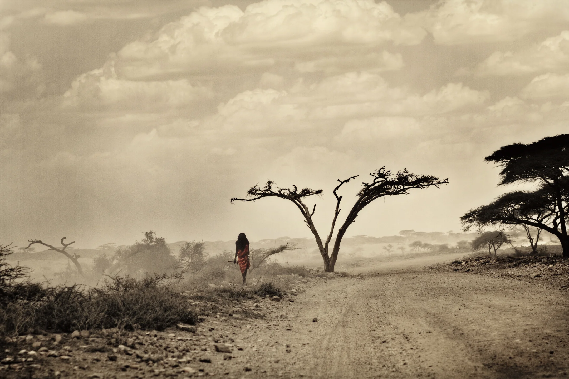 tanzania_2986_tonemappedBe.JPG