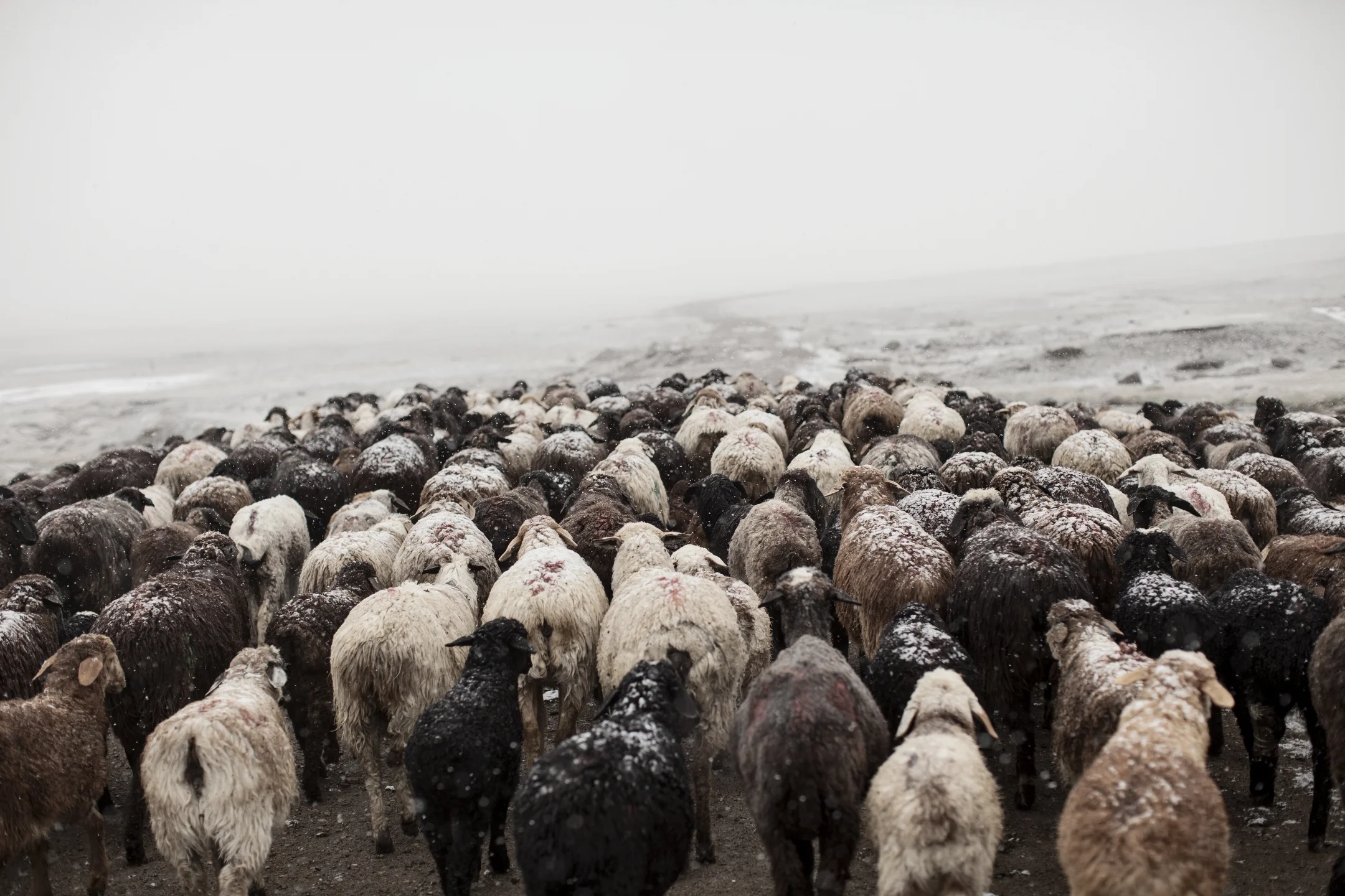 Kyrgyzstan2013_5314.JPG