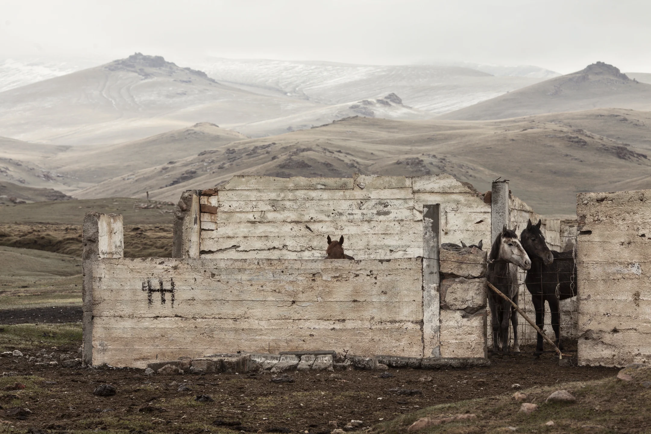 Kyrgyzstan2013_5650b.JPG