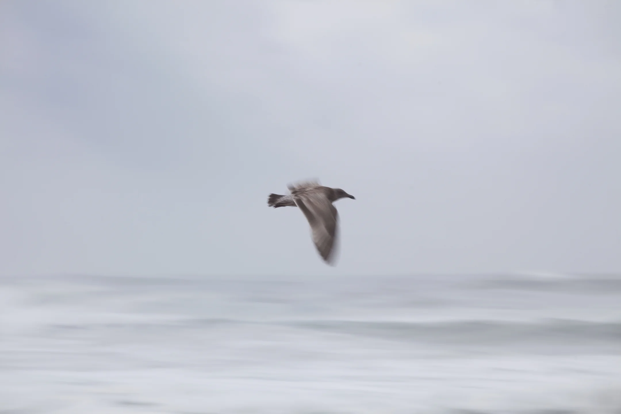 Roadtrip 2009_1700.JPG