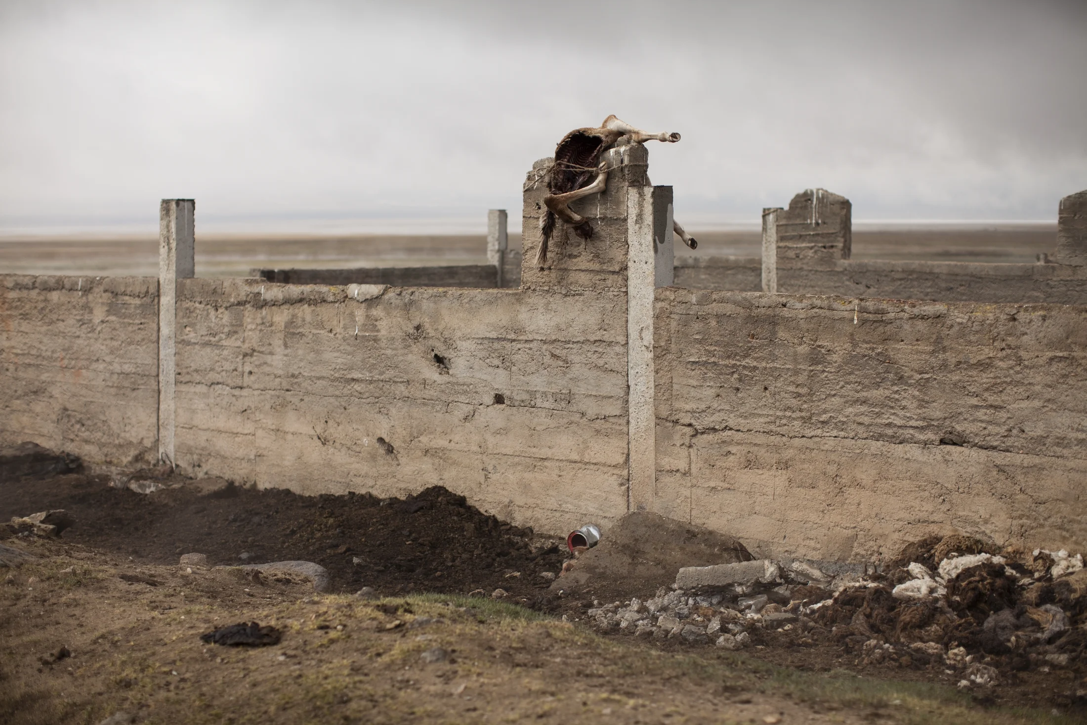 Kyrgyzstan2013_5555.JPG