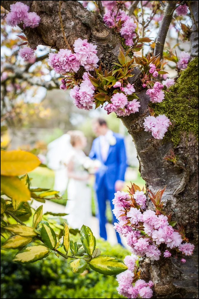 Claire & David. Wedding photographer, Caswell House , Oxfordshire.