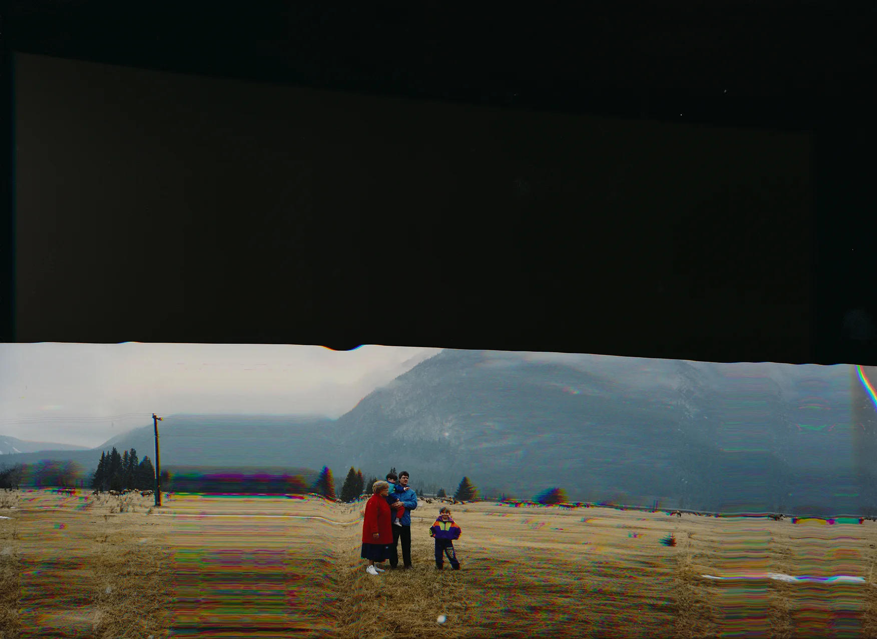 field smaller.jpg