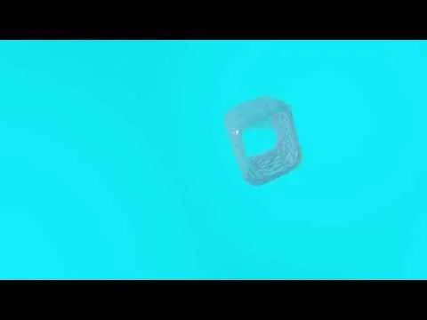 Brad Necyk "Other Fleshy Things"