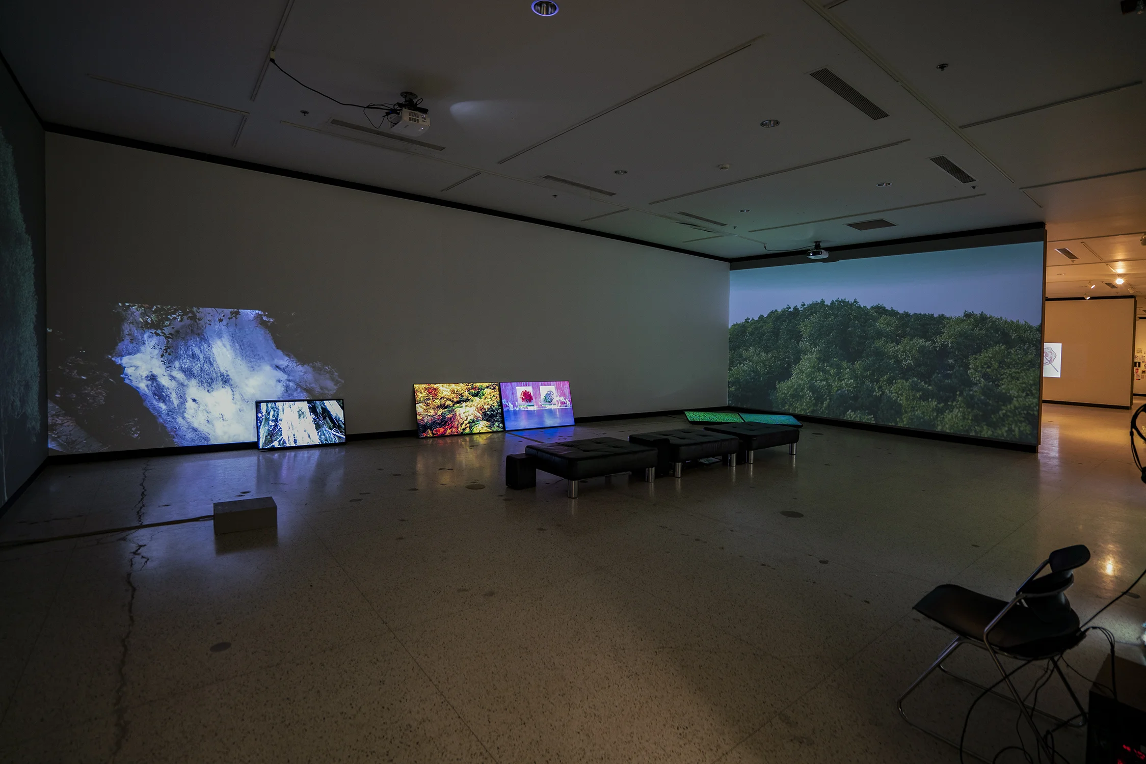 Installation view