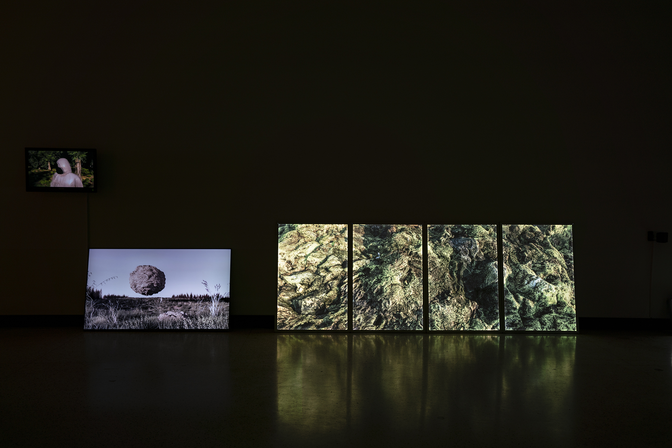"to Witness" - 3 videos on TV, single 1-minute video on TV, and 4 part light box photograph (3 x 8 feet)